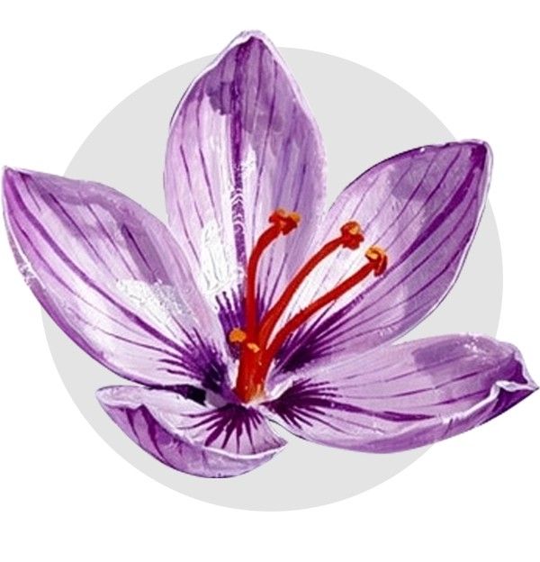 زعفران