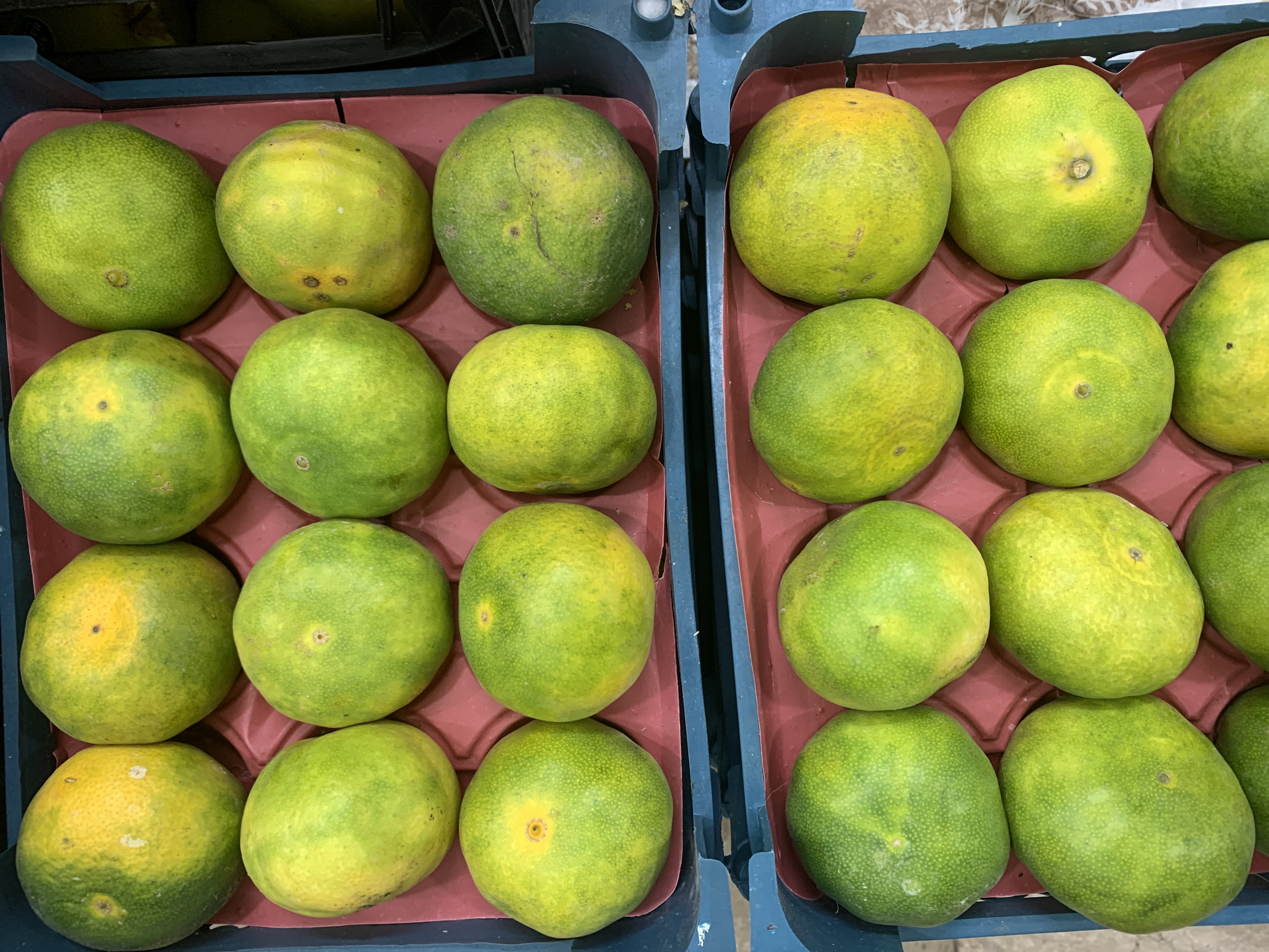 نارنگی