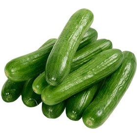 خیار