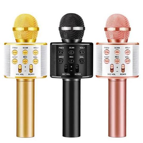 اسپیکر میکروفون WS-858